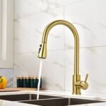 K3 Center Hole Kitchen Mixture Pull Out (gold) - Cleo | S/s | Gold